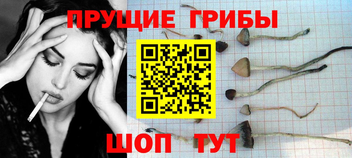 Унеча  продажа наркотиков  Галлюциногенные грибы GOLDEN TEACHER  Вход с VPN  Псилоцибиновые грибы мицелий 